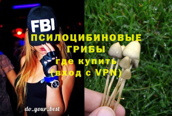 хмурый Кодинск