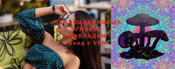хмурый Козловка
