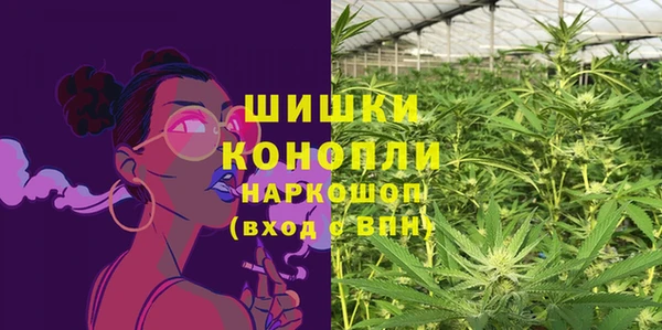 хмурый Кодинск