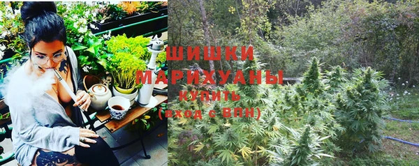 хмурый Козловка